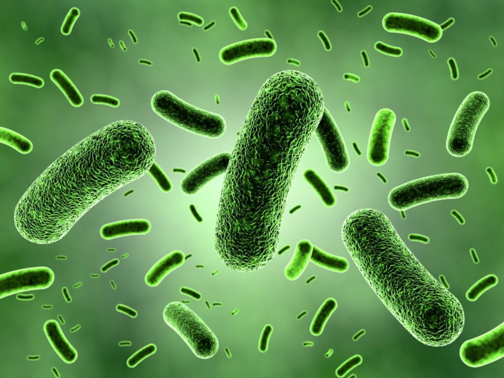 Twin Oak Dental Studio | Bacteria Bonanza: How Many Germs Are In My Mouth?